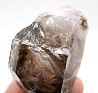 Omapeleki Brandberg Self-Healed Skeletal Black Phantom: Ethically Mined Quartz Crystal