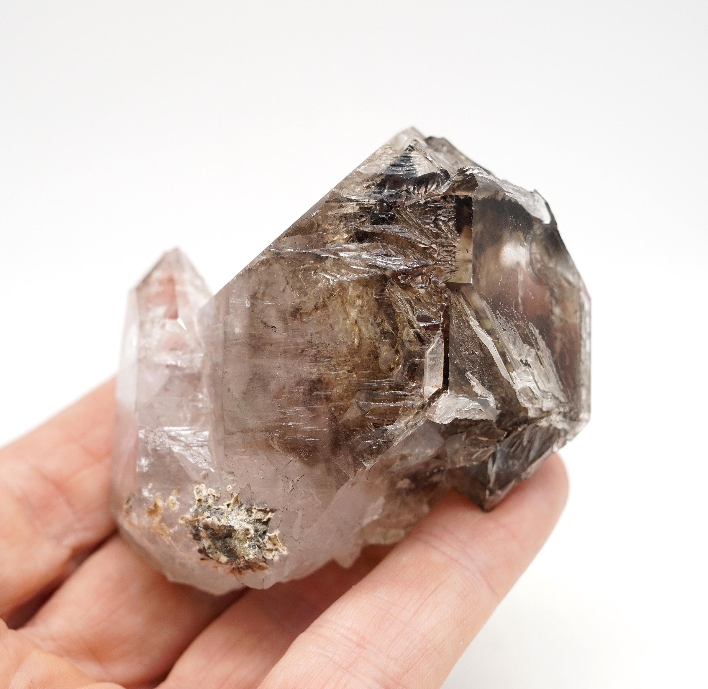 Omapeleki Brandberg Self-Healed Skeletal Black Phantom: Ethically Mined Quartz Crystal