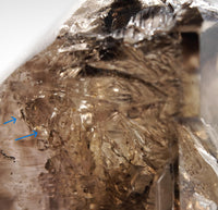 Omapeleki Brandberg Self-Healed Skeletal Black Phantom: Ethically Mined Quartz Crystal