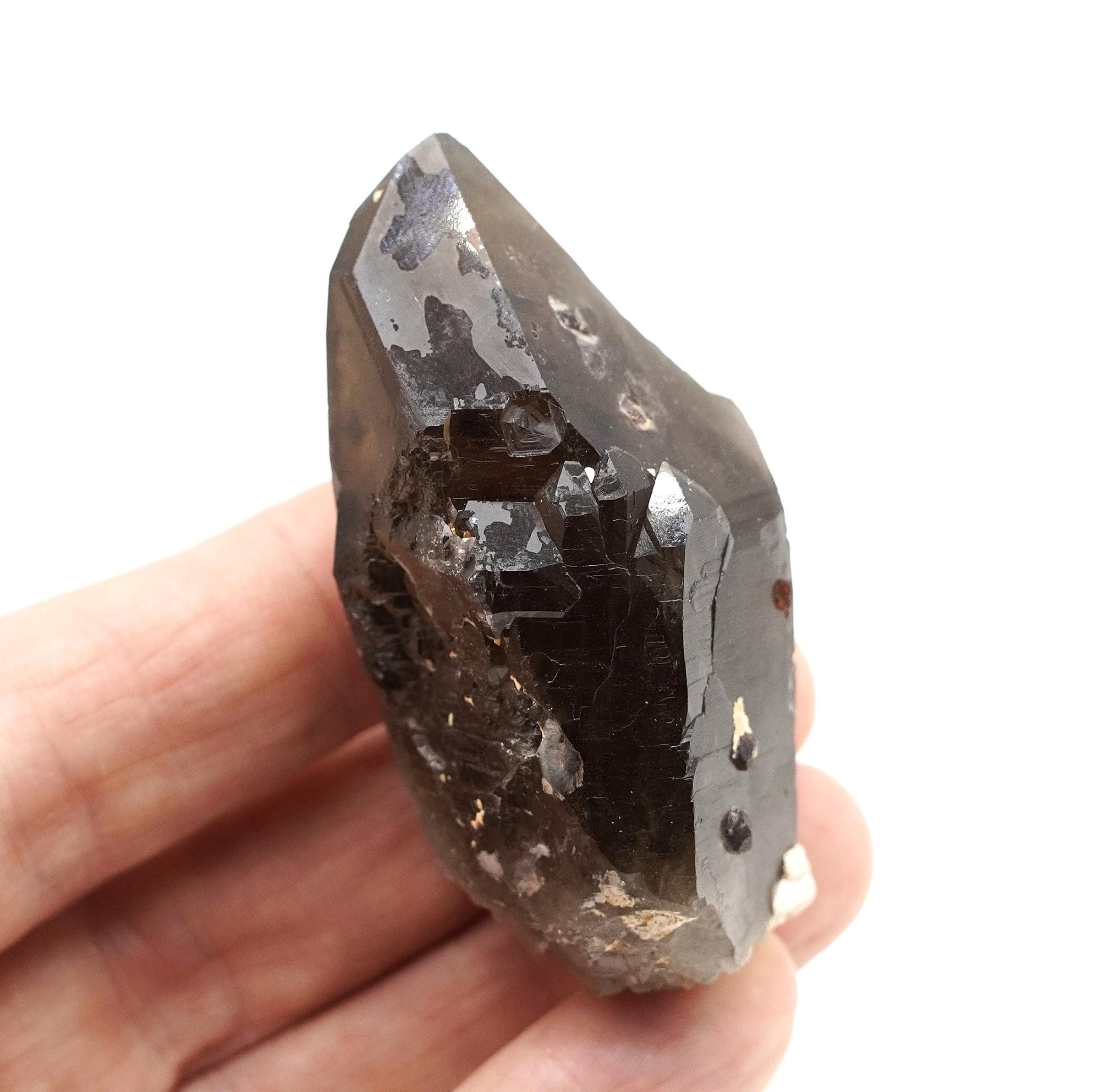 Spessartine Garnets on Self-Healed Smoky Manifestation Quartz: Rare Natural Crystal
