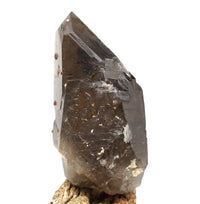 Spessartine Garnets on Self-Healed Smoky Manifestation Quartz: Rare Natural Crystal