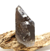 Spessartine Garnets on Self-Healed Smoky Manifestation Quartz: Rare Natural Crystal