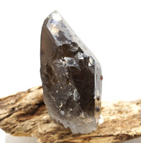 Spessartine Garnets on Self-Healed Smoky Manifestation Quartz: Rare Natural Crystal