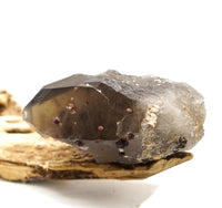 Spessartine Garnets on Self-Healed Smoky Manifestation Quartz: Rare Natural Crystal
