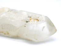 Himalayan Quartz Crystal with Green Chlorite