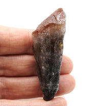 Auralite 23 Crystal: Ethically Mined in Canada, Healing Stone