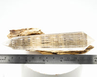 24 Sided Himalayan Rutilated Quartz Vogel Wand