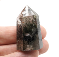 Garden Quartz: Hand-Mined Himalayan Crystal with Chlorite
