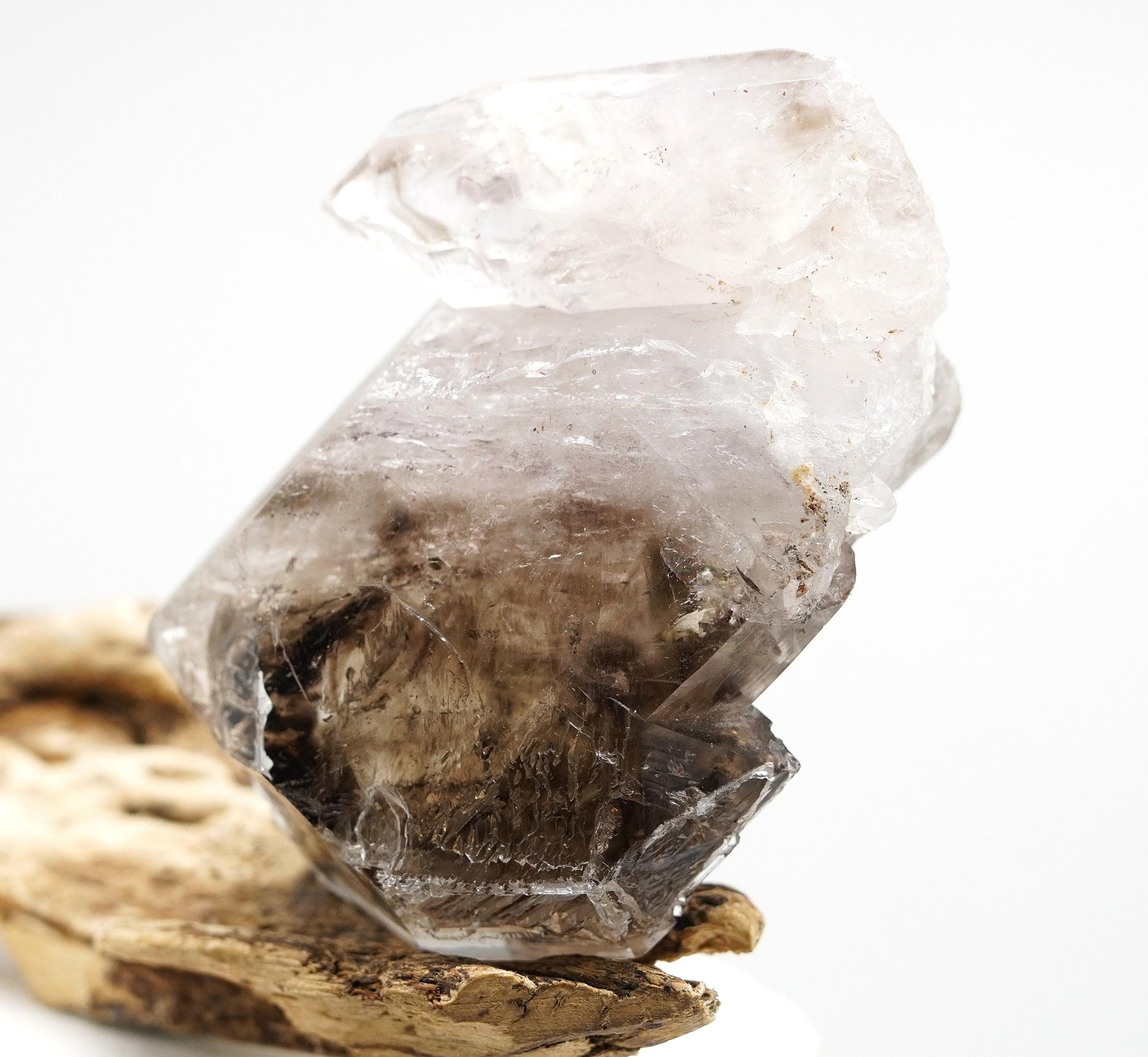Omapeleki Brandberg Self-Healed Skeletal Black Phantom: Ethically Mined Quartz Crystal