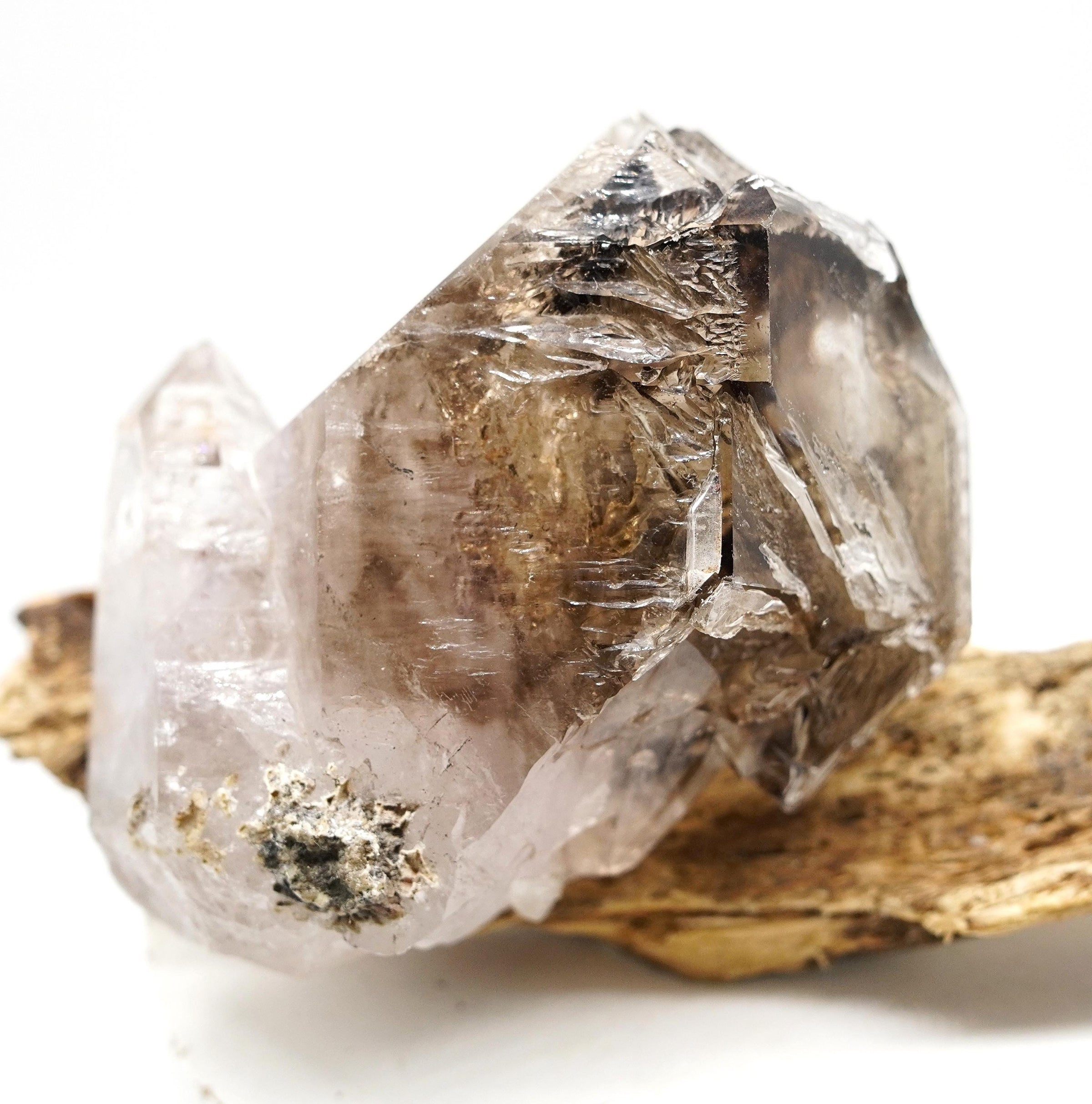 Omapeleki Brandberg Self-Healed Skeletal Black Phantom: Ethically Mined Smoky Quartz Crystal