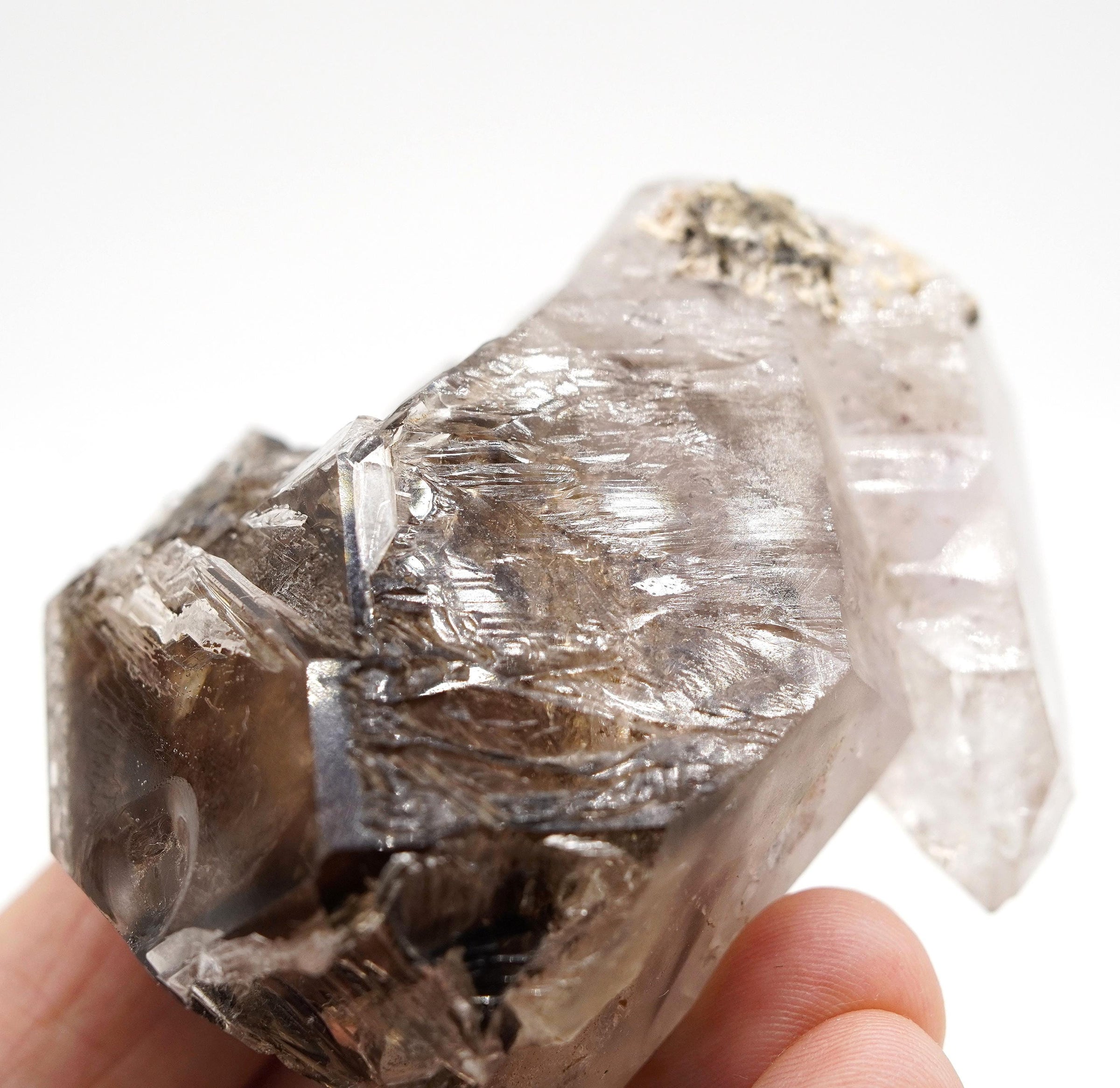 Omapeleki Brandberg Self-Healed Skeletal Black Phantom: Ethically Mined Quartz Crystal