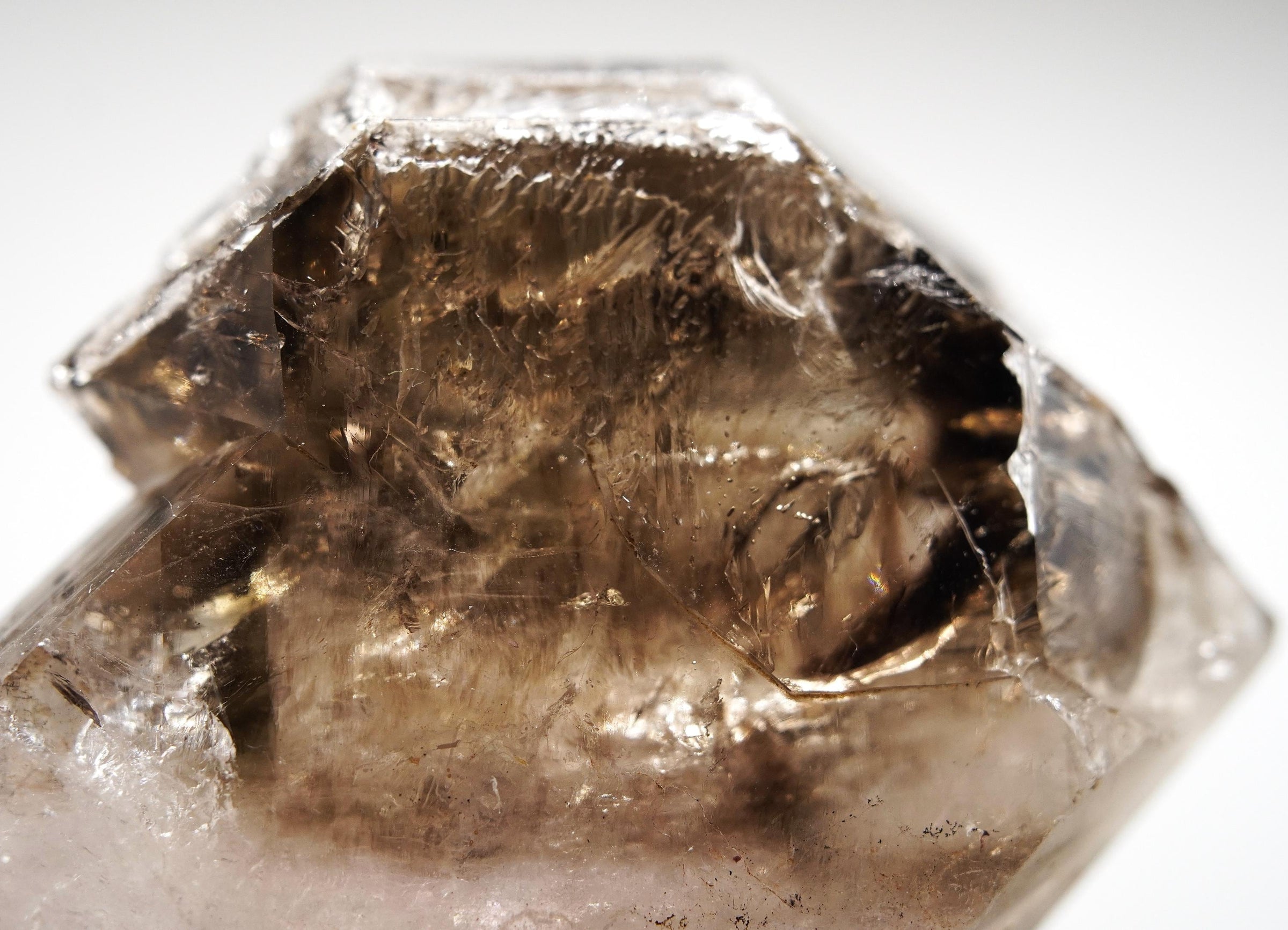 Omapeleki Brandberg Self-Healed Skeletal Black Phantom: Ethically Mined Quartz Crystal