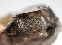 Omapeleki Brandberg Self-Healed Skeletal Black Phantom: Ethically Mined Quartz Crystal