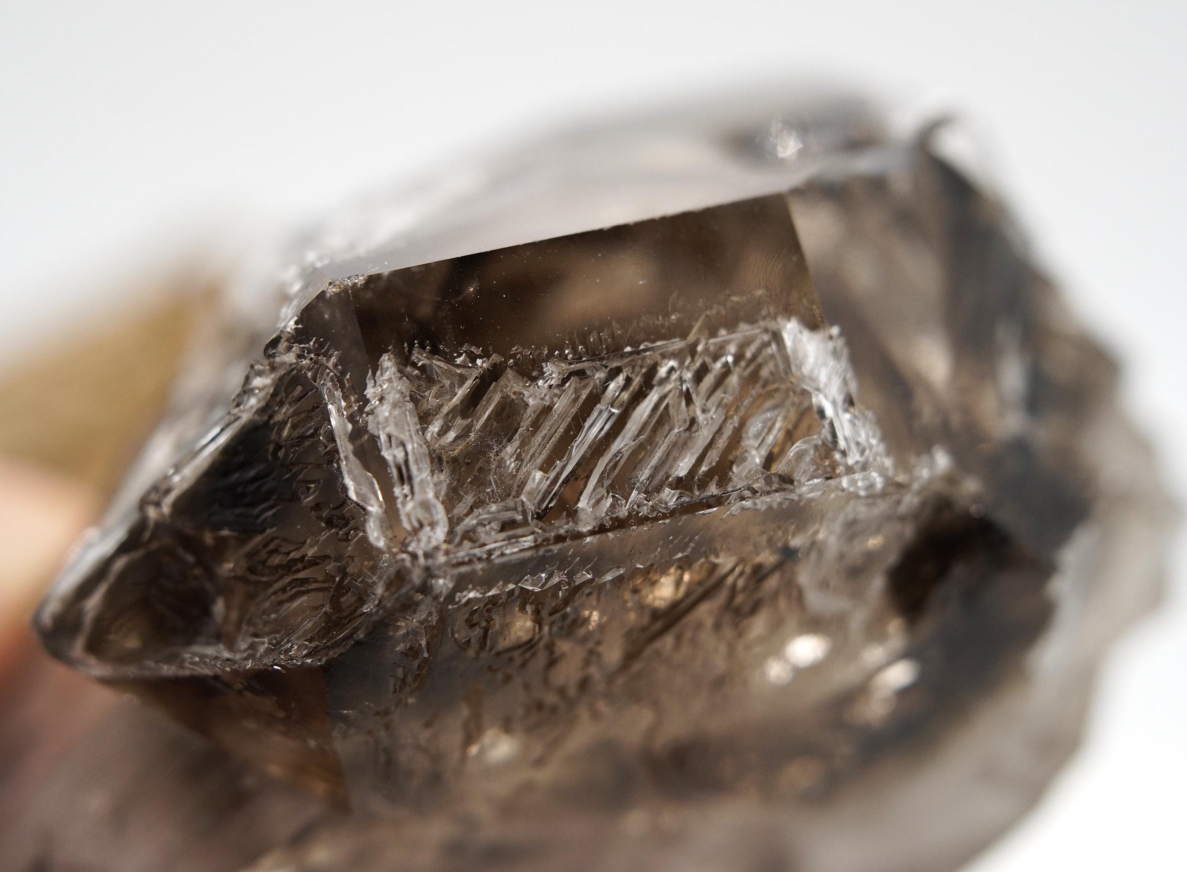Omapeleki Brandberg Self-Healed Skeletal Black Phantom: Ethically Mined Quartz Crystal