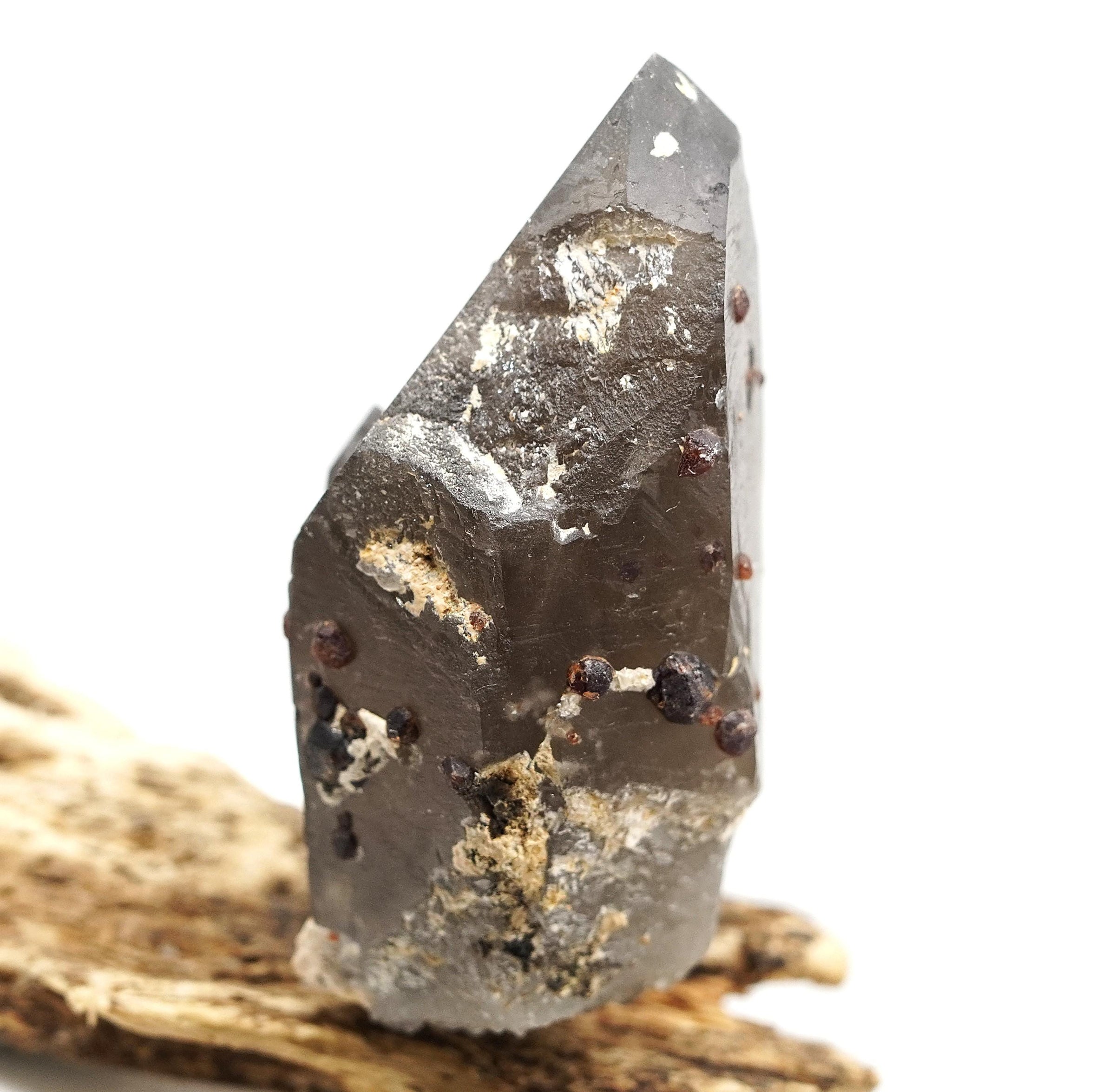 Spessartine Garnets on Self-Healed Smoky Manifestation Quartz: Rare Natural Crystal
