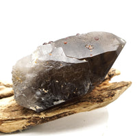 Spessartine Garnets on Self-Healed Smoky Manifestation Quartz: Rare Natural Crystal
