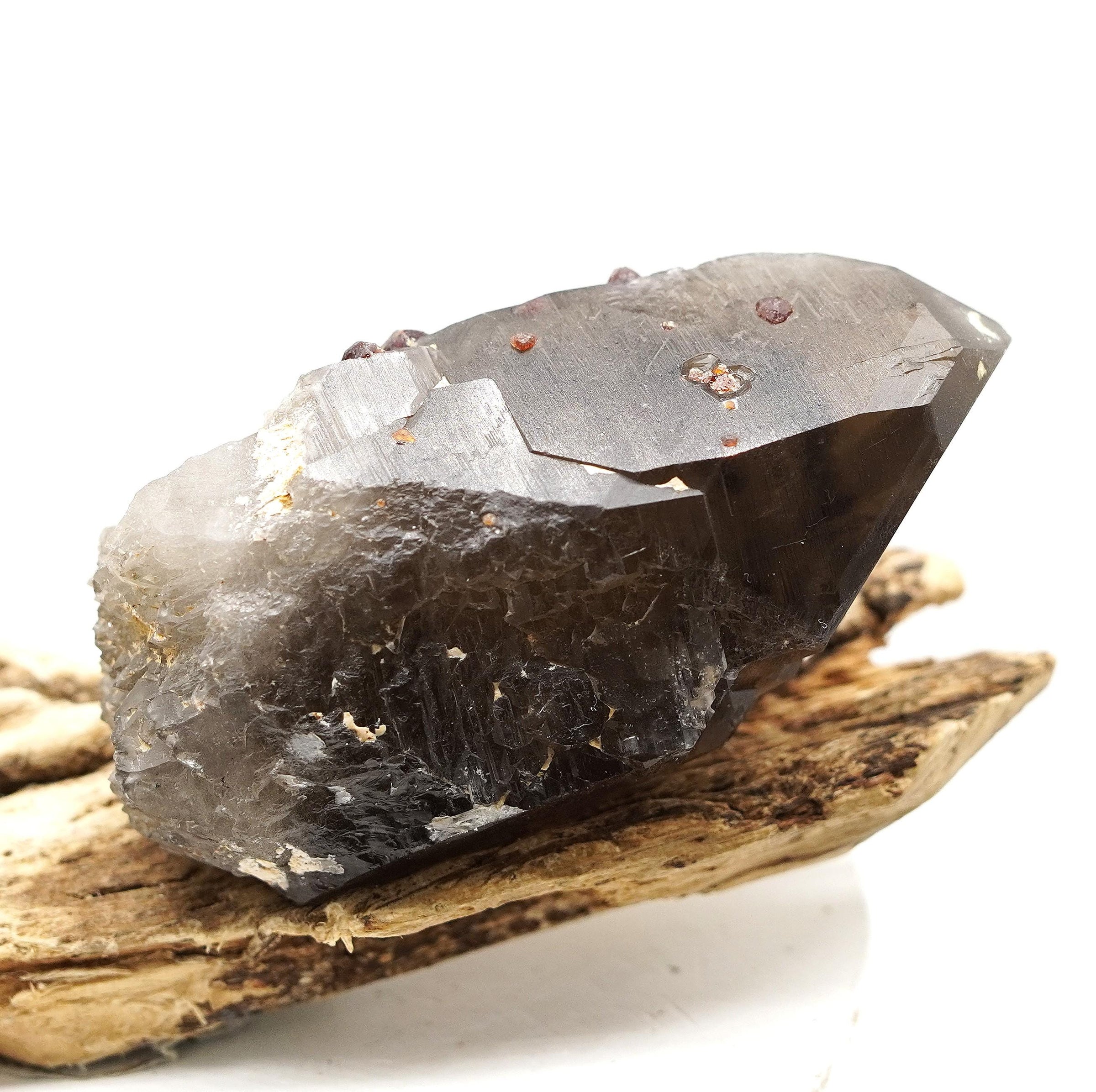 Spessartine Garnets on Self-Healed Smoky Manifestation Quartz: Rare Natural Crystal