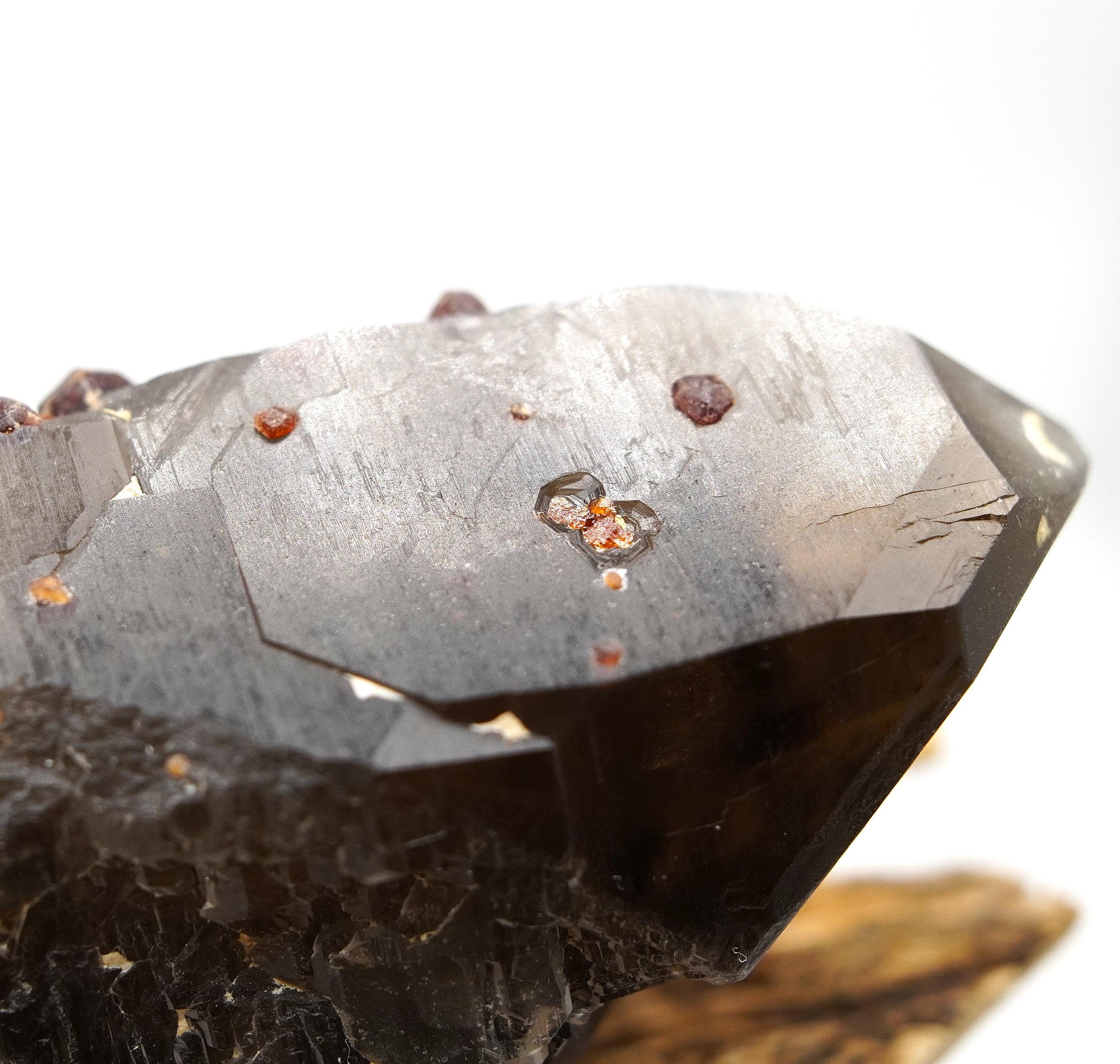 Spessartine Garnets on Self-Healed Smoky Manifestation Quartz: Rare Natural Crystal