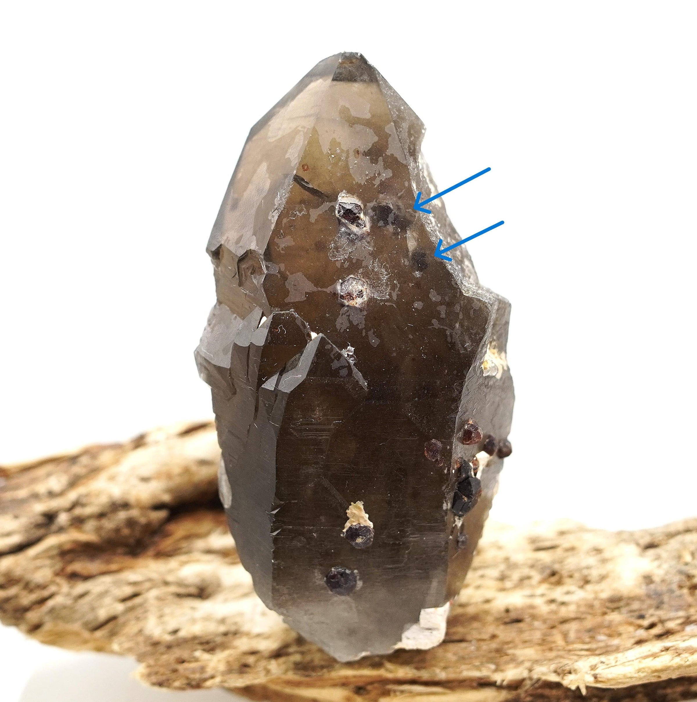 Spessartine Garnets on Self-Healed Smoky Manifestation Quartz: Rare Natural Crystal