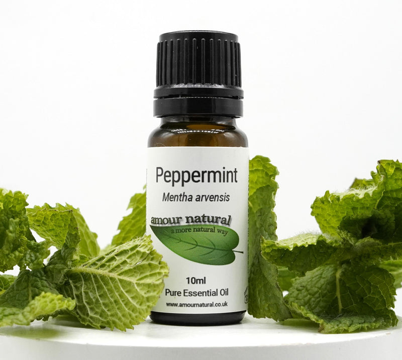 Peppermint Essential Oil