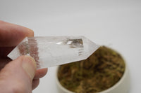 24 Sided Himalayan Rutilated Quartz Vogel Wand