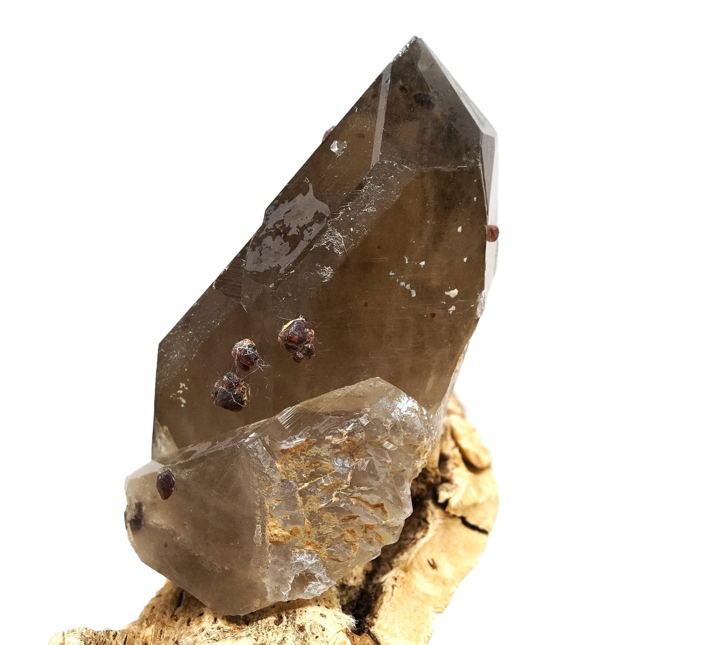 Spessartine Garnets on Self-Healed Smoky Manifestation Quartz: Rare Natural Crystal
