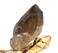 Spessartine Garnets on Self-Healed Smoky Manifestation Quartz: Rare Natural Crystal