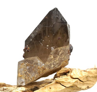 Spessartine Garnets on Self-Healed Smoky Manifestation Quartz: Rare Natural Crystal