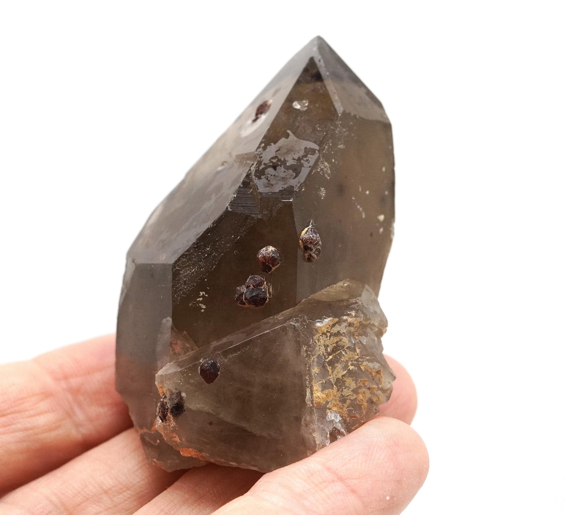 Spessartine Garnets on Self-Healed Smoky Manifestation Quartz: Rare Natural Crystal
