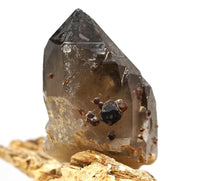 Spessartine Garnets on Self-Healed Smoky Manifestation Quartz: Rare Natural Crystal