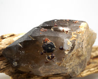Spessartine Garnets on Self-Healed Smoky Manifestation Quartz: Rare Natural Crystal