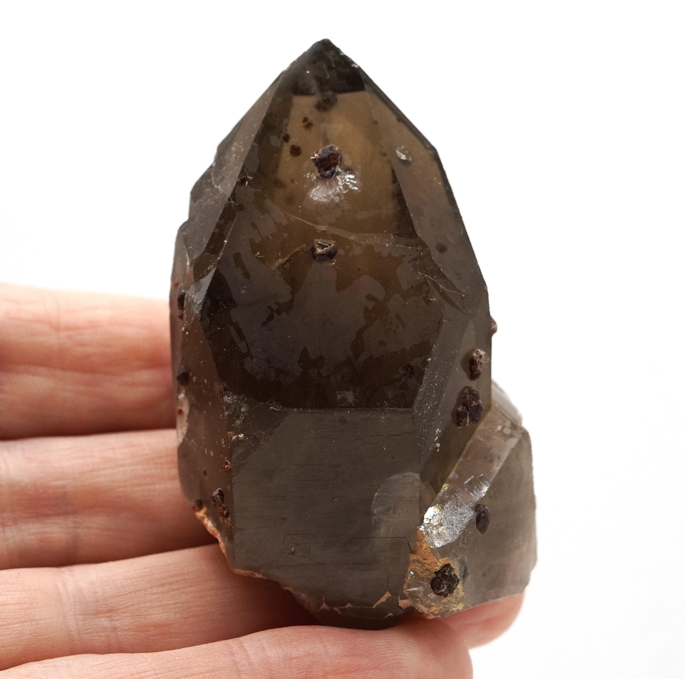 Spessartine Garnets on Self-Healed Smoky Manifestation Quartz: Rare Natural Crystal