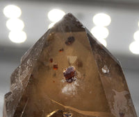 Spessartine Garnets on Self-Healed Smoky Manifestation Quartz: Rare Natural Crystal