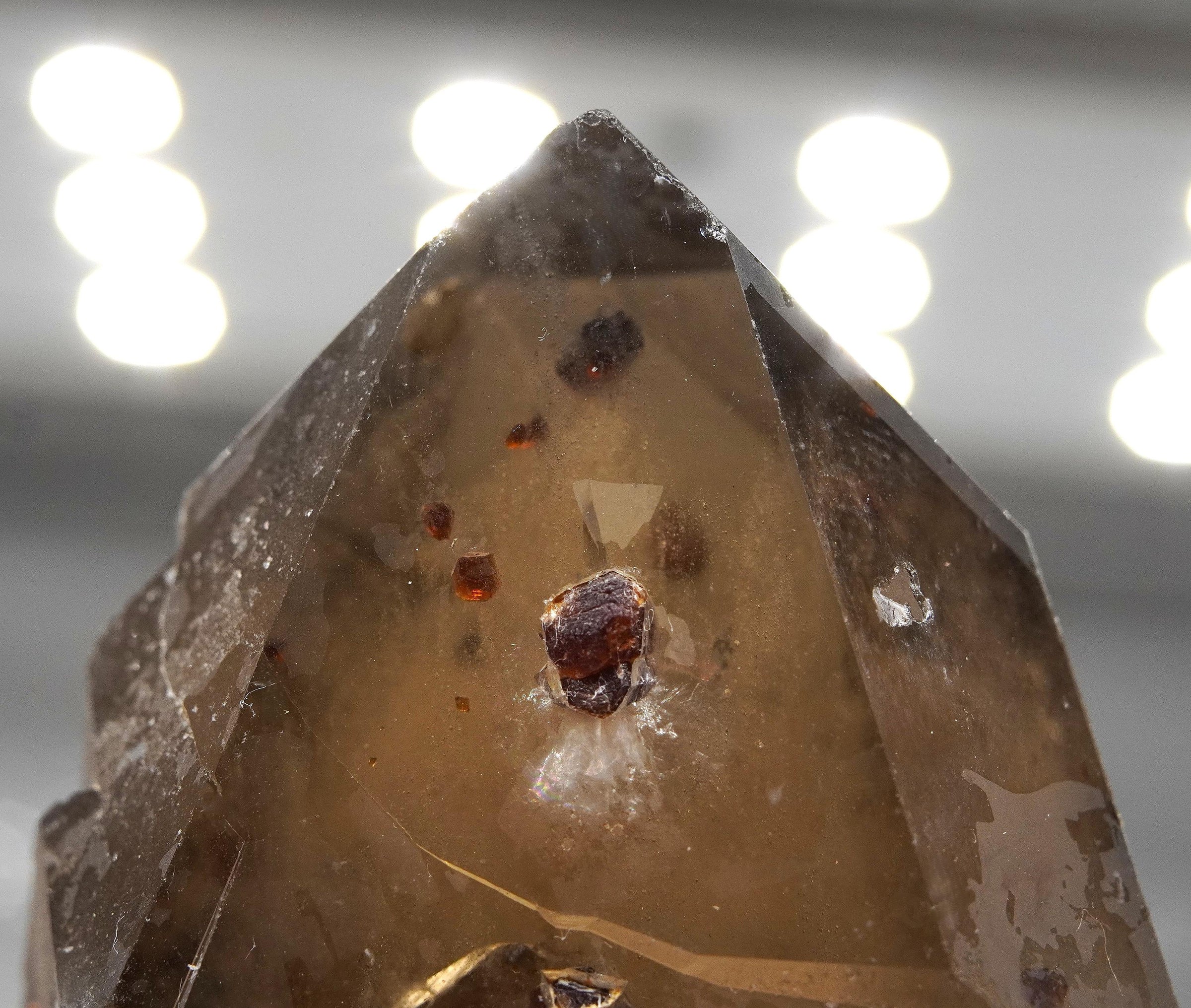 Spessartine Garnets on Self-Healed Smoky Manifestation Quartz: Rare Natural Crystal