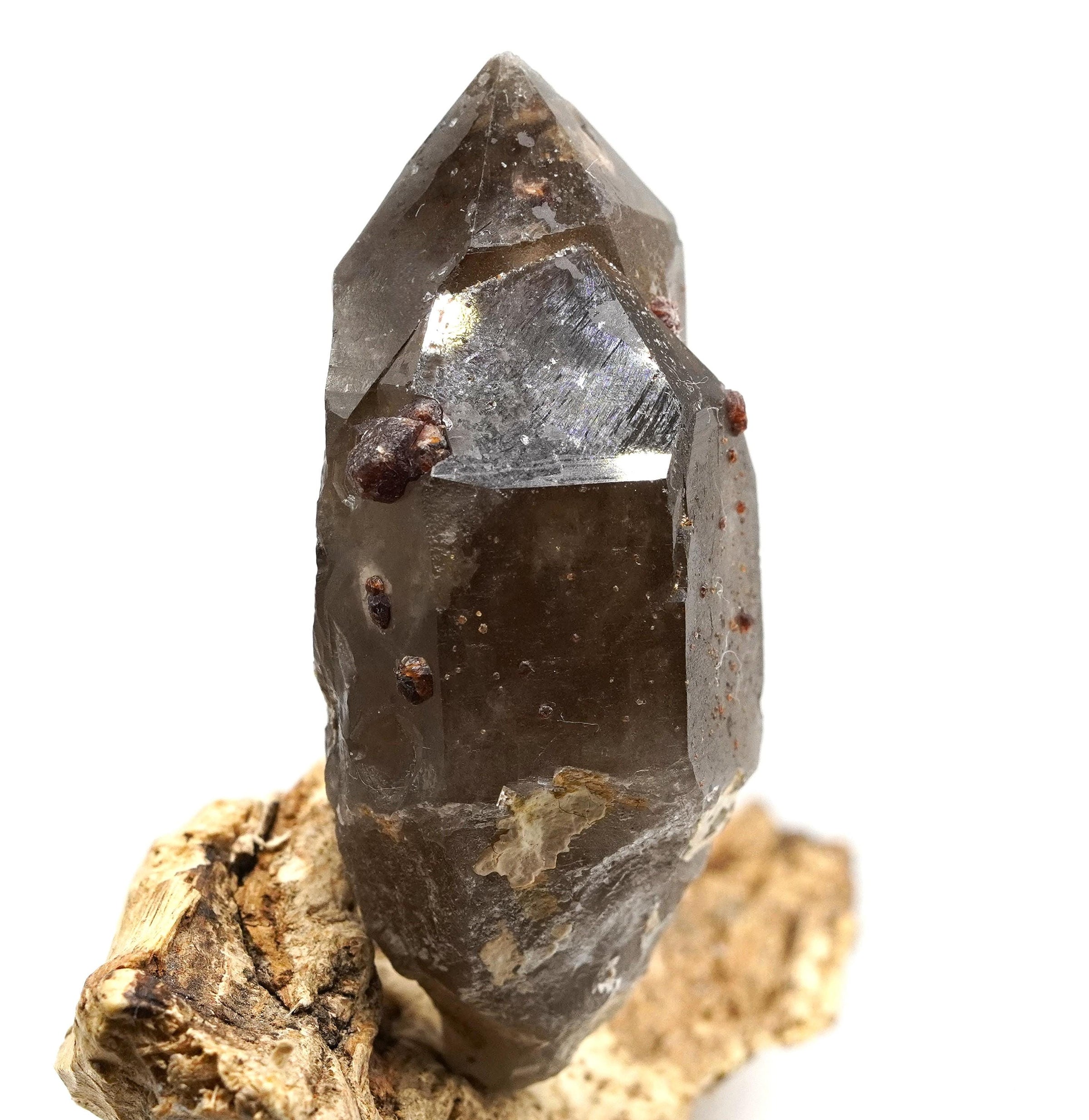Spessartine Garnets on Self-Healed Smoky Manifestation Quartz: Rare Natural Crystal