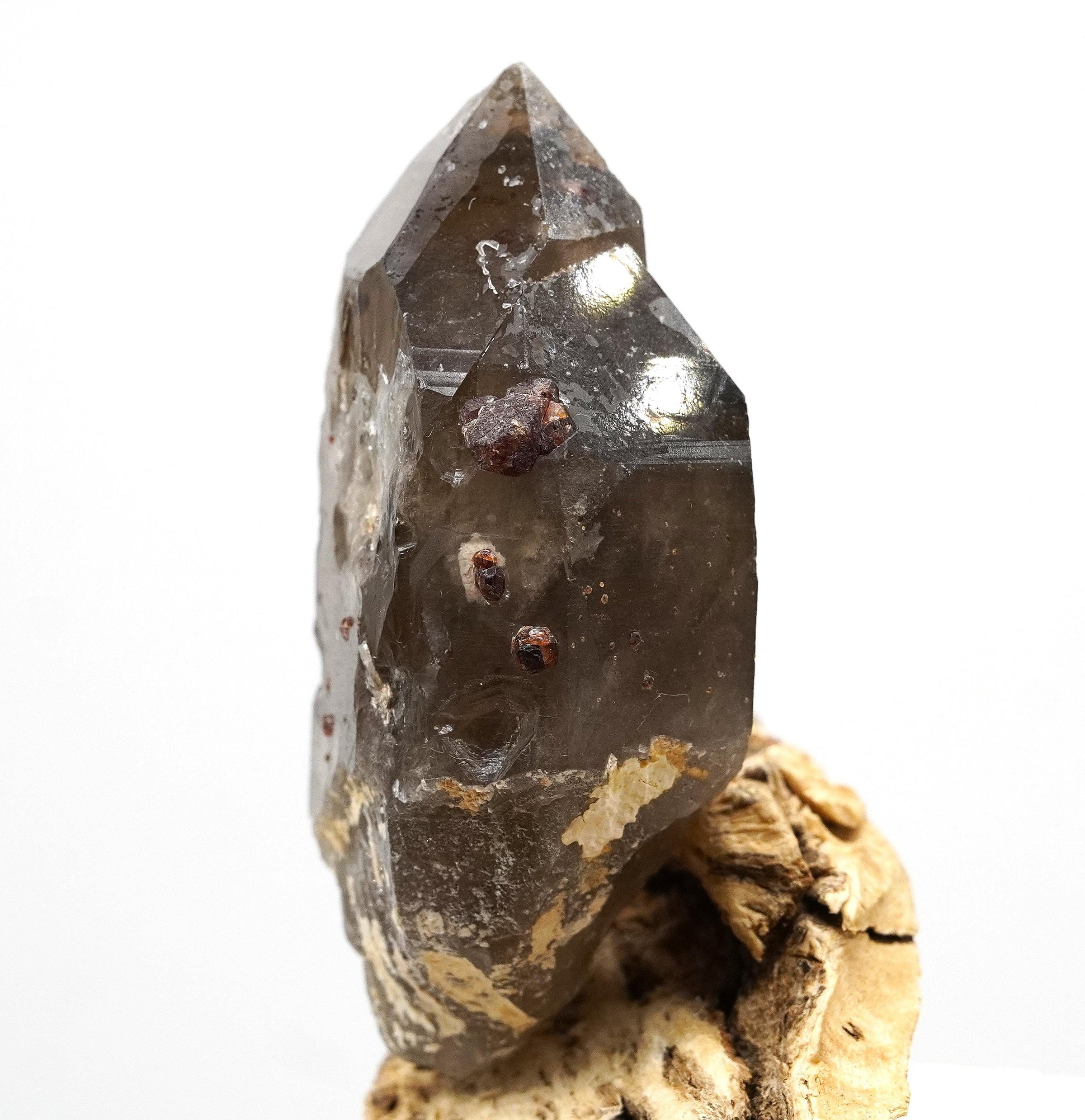 Spessartine Garnets on Self-Healed Smoky Manifestation Quartz: Rare Natural Crystal
