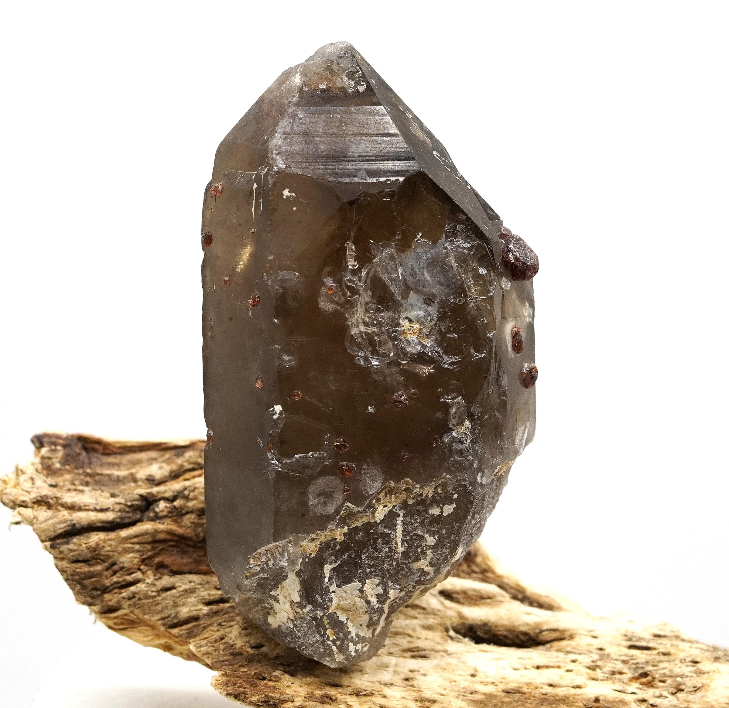 Spessartine Garnets on Self-Healed Smoky Manifestation Quartz: Rare Natural Crystal