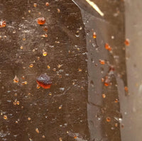 Spessartine Garnets on Self-Healed Smoky Manifestation Quartz: Rare Natural Crystal