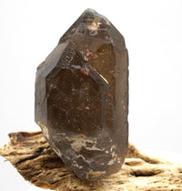 Spessartine Garnets on Self-Healed Smoky Manifestation Quartz: Rare Natural Crystal