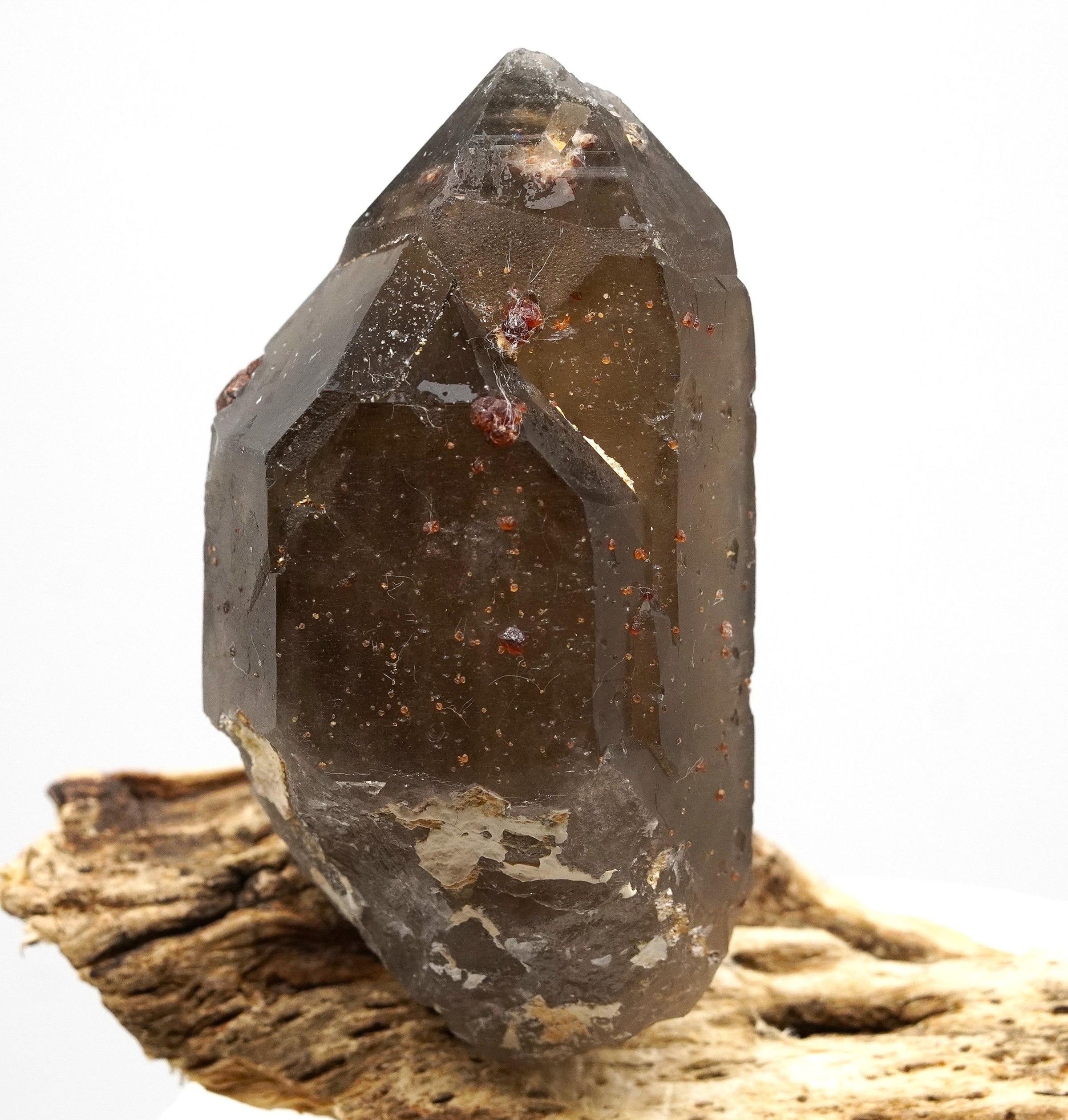 Spessartine Garnets on Self-Healed Smoky Manifestation Quartz: Rare Natural Crystal