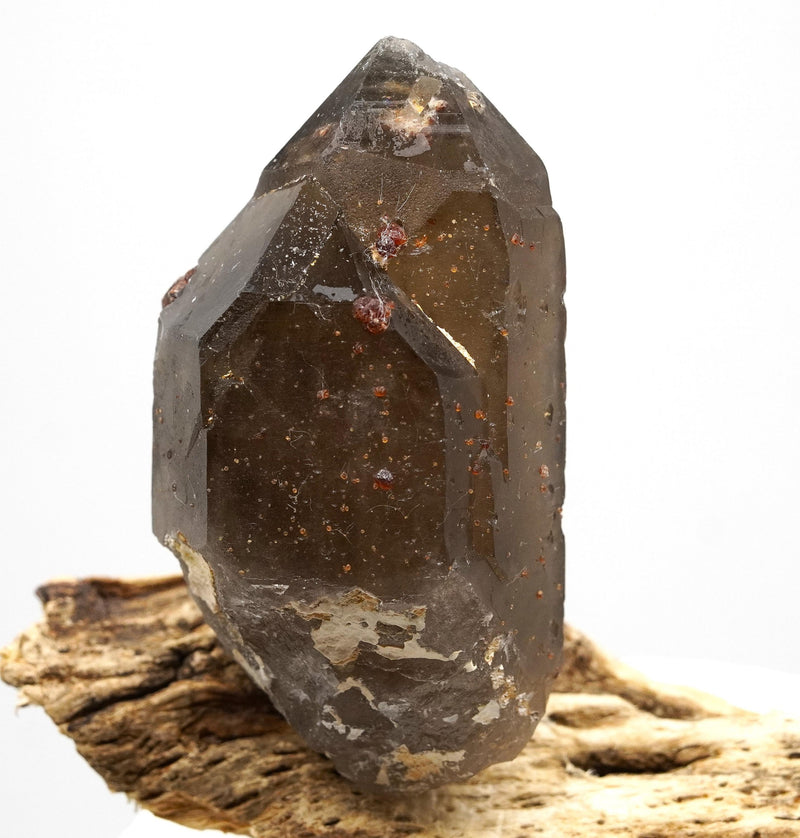 Spessartine Garnets on Self-Healed Smoky Manifestation Quartz: Rare Natural Crystal