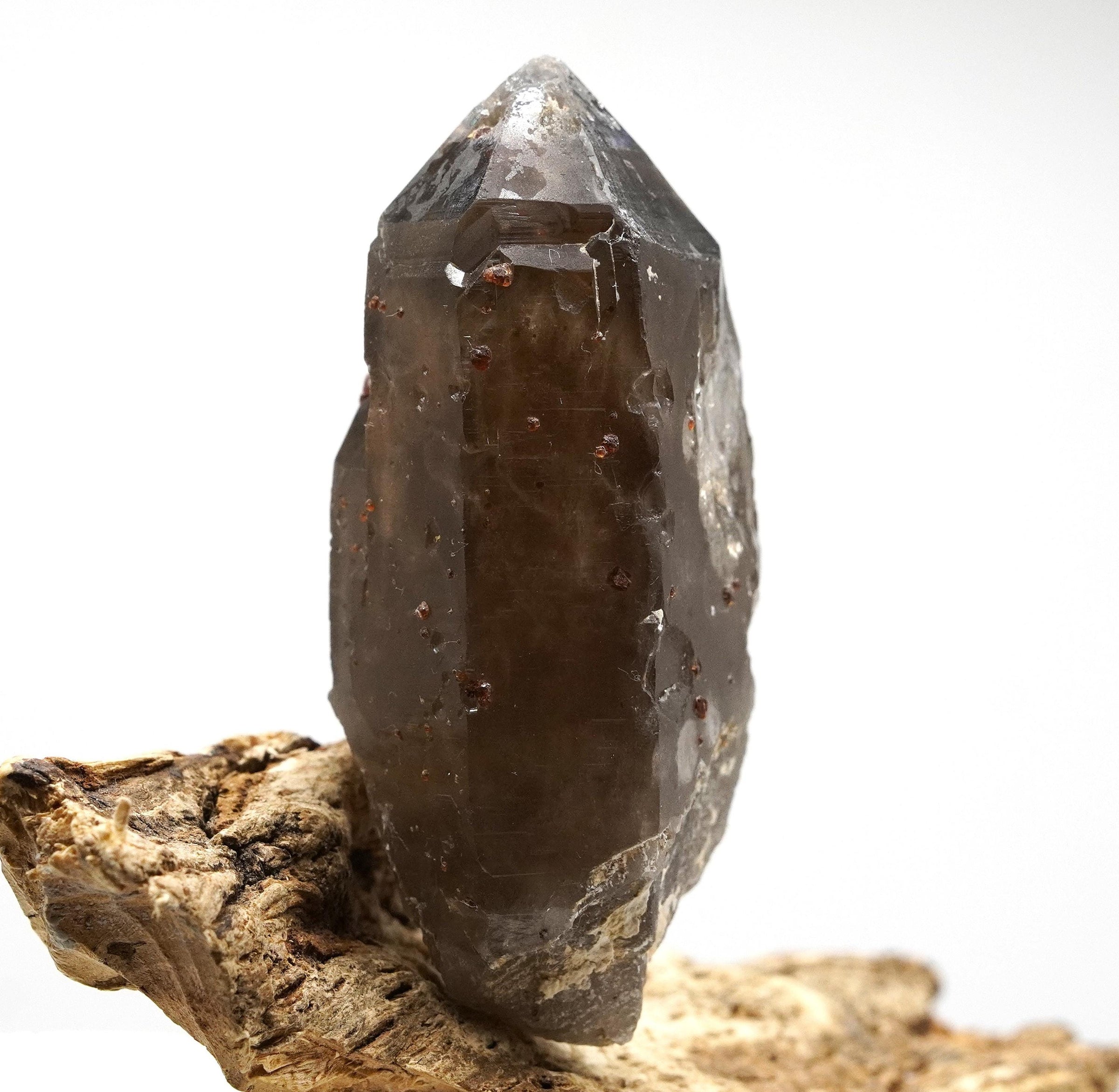 Spessartine Garnets on Self-Healed Smoky Manifestation Quartz: Rare Natural Crystal