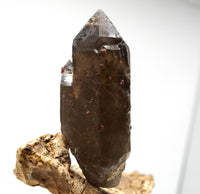 Spessartine Garnets on Self-Healed Smoky Manifestation Quartz: Rare Natural Crystal