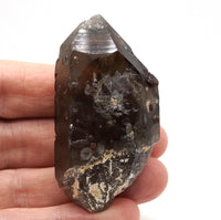Spessartine Garnets on Self-Healed Smoky Manifestation Quartz: Rare Natural Crystal