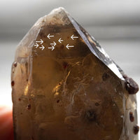 Spessartine Garnets on Self-Healed Smoky Manifestation Quartz: Rare Natural Crystal
