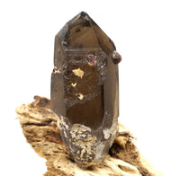 Spessartine Garnets on Self-Healed Smoky Manifestation Quartz: Rare Natural Crystal