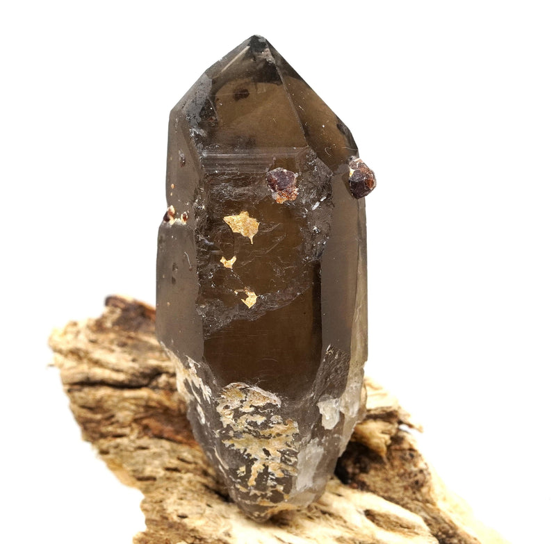 Spessartine Garnets on Self-Healed Smoky Manifestation Quartz: Rare Natural Crystal