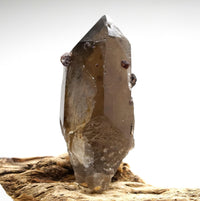 Spessartine Garnets on Self-Healed Smoky Manifestation Quartz: Rare Natural Crystal