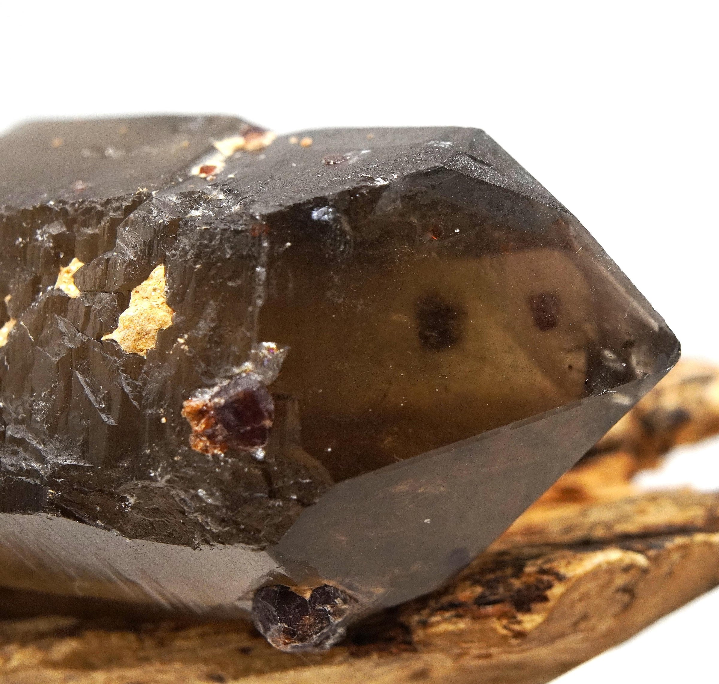 Spessartine Garnets on Self-Healed Smoky Manifestation Quartz: Rare Natural Crystal