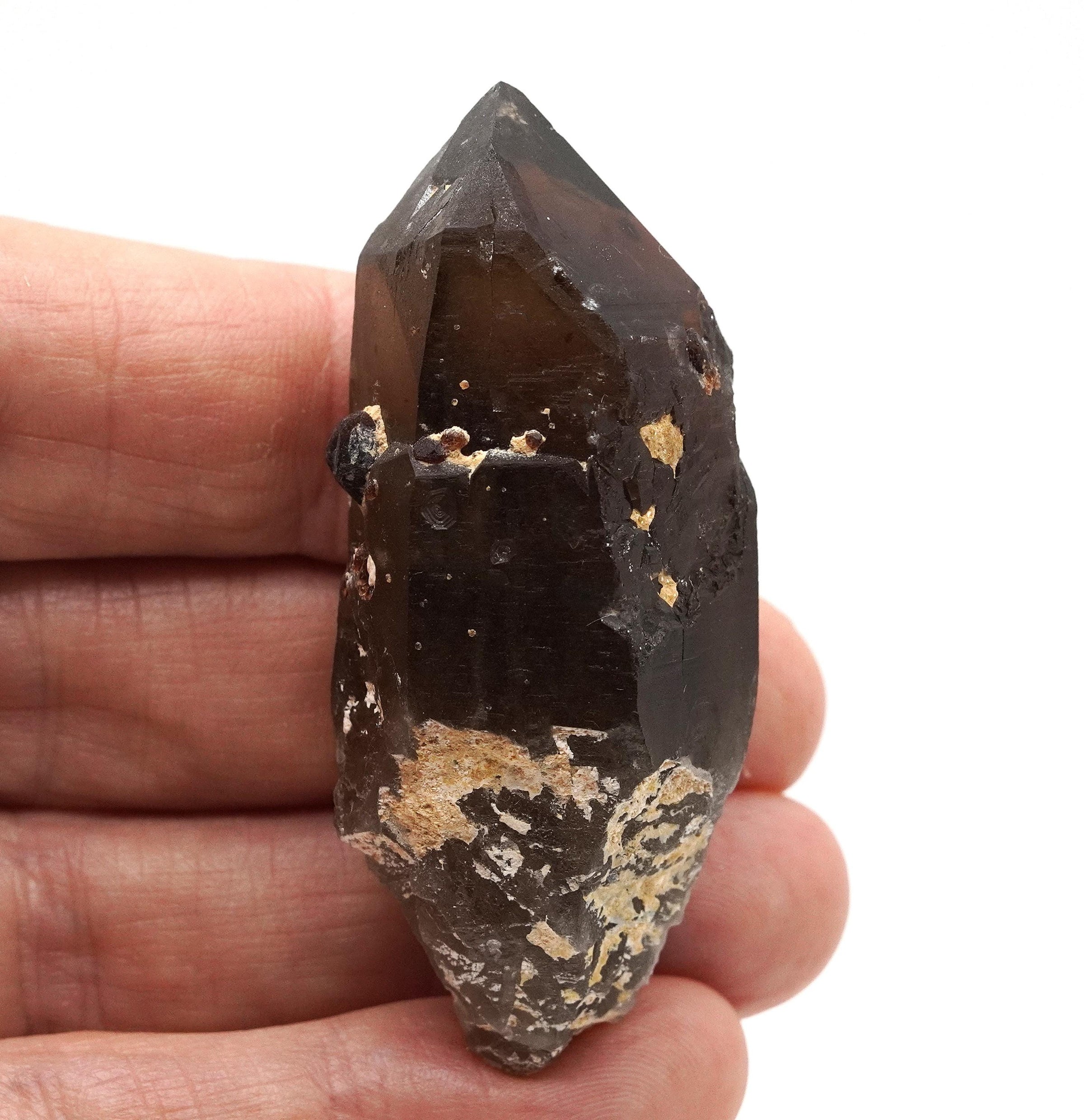 Spessartine Garnets on Self-Healed Smoky Manifestation Quartz: Rare Natural Crystal